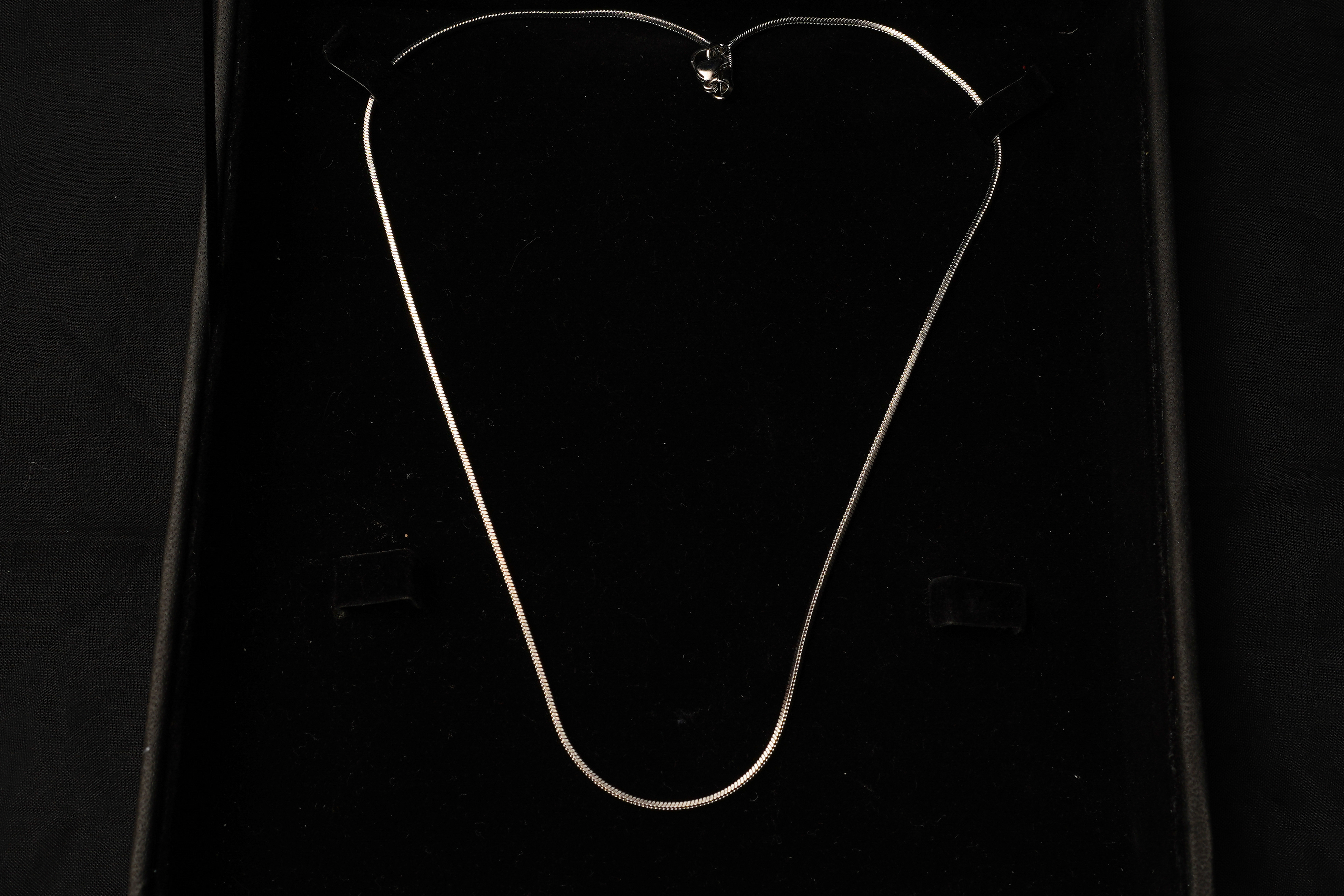 Eleganza Silver Strand Necklace